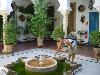 Patio y amor